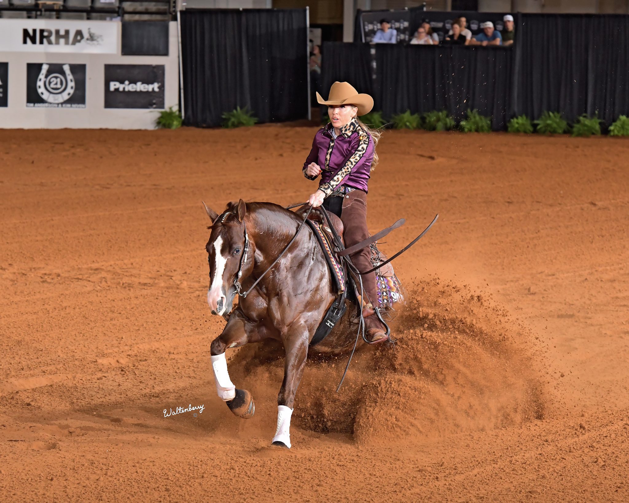 Female rider and horse sliding in arena