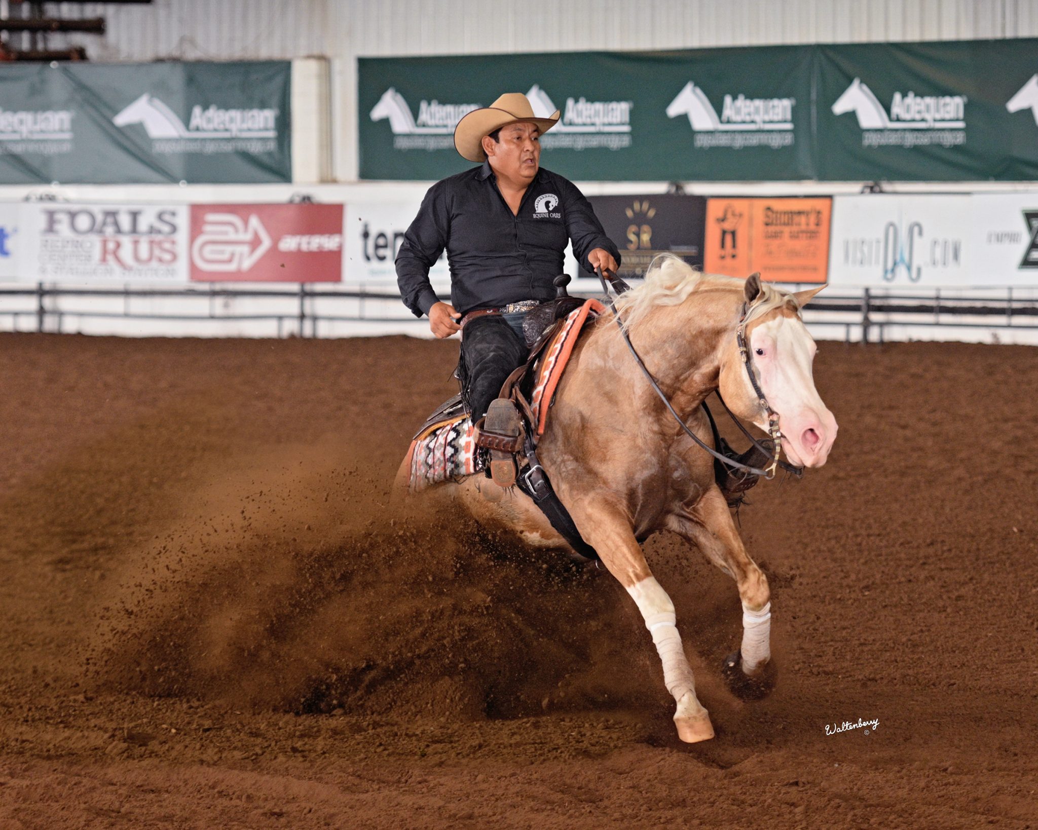 Male rider and horse sliding in arena